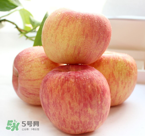 蘋果種類有哪些？蘋果種類哪種最好