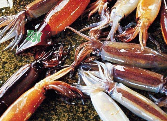 魷魚是堿性食物嗎？魷魚是酸性還是堿性？
