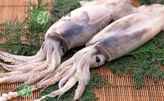 魷魚是海魚嗎？魷魚怎么炒好吃
