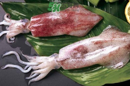 新鮮魷魚怎么處理？魷魚怎么清洗？