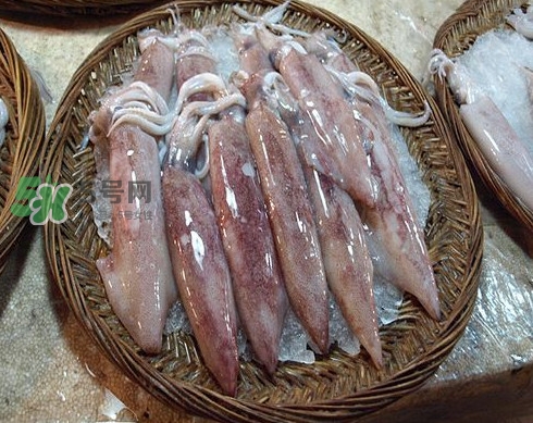 新鮮魷魚怎么保存？魷魚可以冷凍嗎