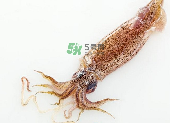 魷魚要焯水嗎？魷魚怎樣焯水