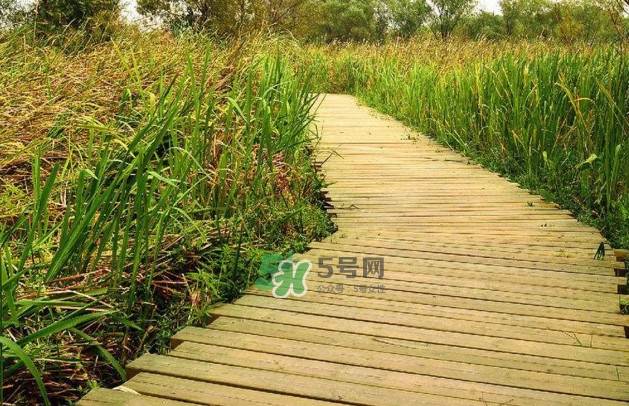 心碎綜合癥是抑郁癥嗎？心碎綜合癥怎么治療