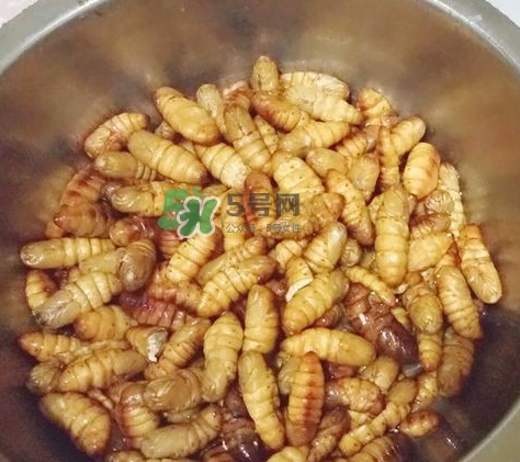 蜂蛹怎么保存？蜂蛹怎么做好吃？