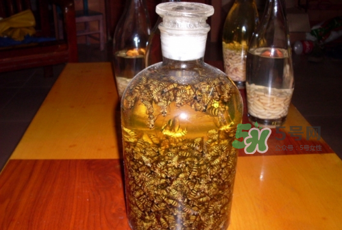 蜂蛹和枸杞能一起泡酒嗎？蜂蛹和枸杞泡酒的功效
