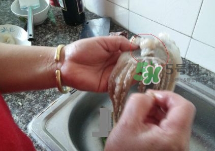 魷魚是堿性食物嗎？魷魚是酸性還是堿性？