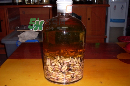 蜂蛹和枸杞能一起泡酒嗎？蜂蛹和枸杞泡酒的功效
