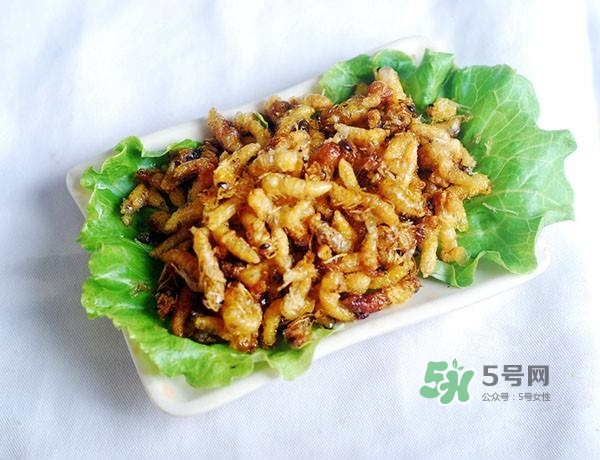 蜂蛹怎么保存？蜂蛹怎么做好吃？