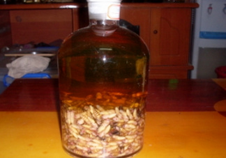蜂蛹和枸杞能一起泡酒嗎？蜂蛹和枸杞泡酒的功效