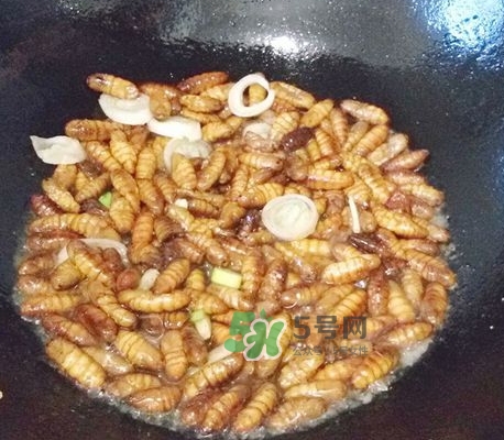 蜂蛹怎么保存？蜂蛹怎么做好吃？