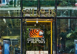 soulgoods是什么牌子？soulgoods貴嗎？