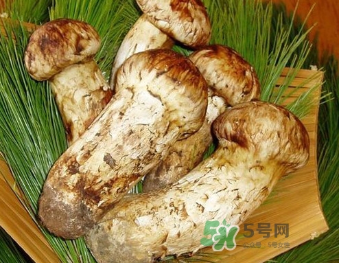 新鮮松茸怎么清洗？新鮮松茸怎么處理
