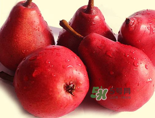 紅啤梨可以放冰箱嗎？紅啤梨怎么保存？