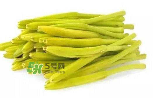黃花菜是忘憂草嗎？黃花菜是不是金針菜