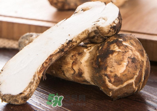 松茸是酸性還是堿性？松茸怎么做好吃