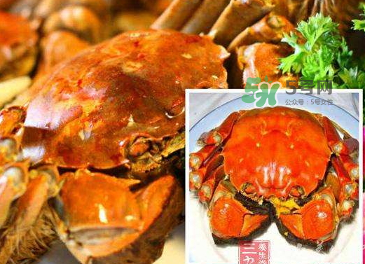 紅印蟹怎么回事？紅印蟹有什么不同？