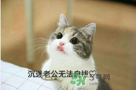 南方老公和東北老公哪個好？南方老公和東北老公的區(qū)別