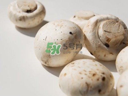 白蘑菇是什么種類？白蘑菇怎么洗才洗得干凈