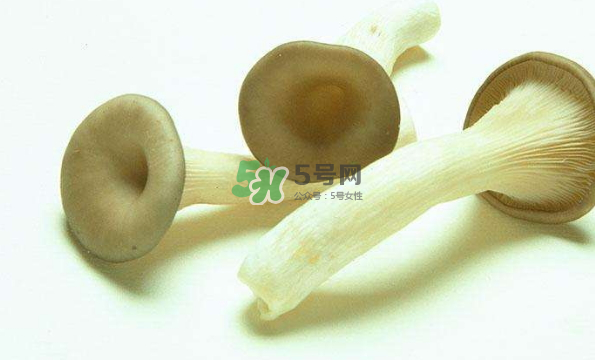 蘑菇不能和茄子一起吃嗎？蘑菇不能和什么一起吃？