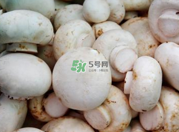 蘑菇變黑了還能吃嗎？蘑菇怎么保存？