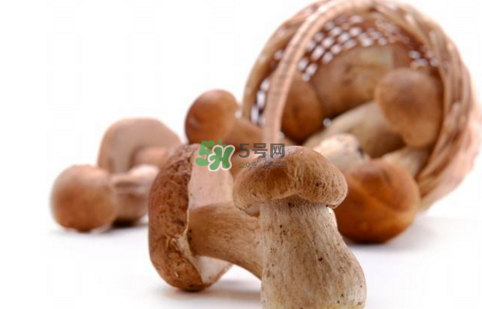 蘑菇能放冰箱嗎？蘑菇能放冰箱多長時(shí)間？