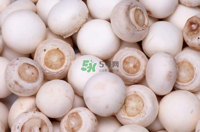 蘑菇能放冰箱嗎？蘑菇能放冰箱多長時(shí)間？