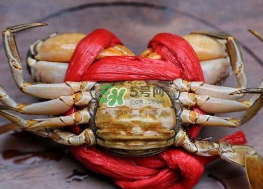 黃油蟹什么季節(jié)吃最好？黃油蟹產(chǎn)地