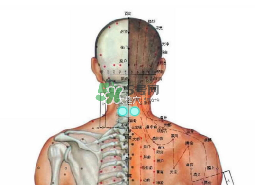 碧緹福護(hù)頸儀多少錢？碧緹福護(hù)頸儀價(jià)格