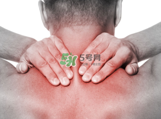 碧緹福護(hù)頸儀多少錢？碧緹福護(hù)頸儀價(jià)格