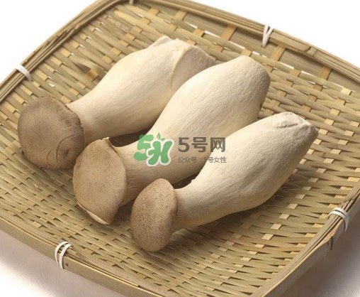 杏鮑菇用水焯嗎？杏鮑菇怎么做好吃