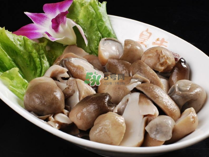 草菇孕婦能吃嗎？草菇要煮多久可以吃？
