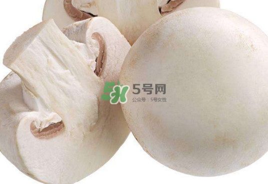 新鮮白蘑菇怎么做好吃？白蘑菇有什么好處