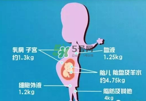 孕期體重增長標(biāo)準(zhǔn) 孕期體重增長過快怎么辦？