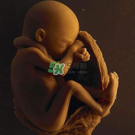 臍帶繞頸是什么意思？臍帶繞頸兩周怎么糾正？