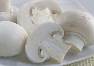 白蘑菇是什么蘑菇？白蘑菇有毒嗎