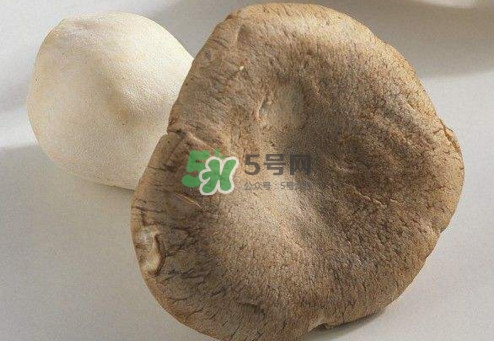 杏鮑菇用水焯嗎？杏鮑菇怎么做好吃