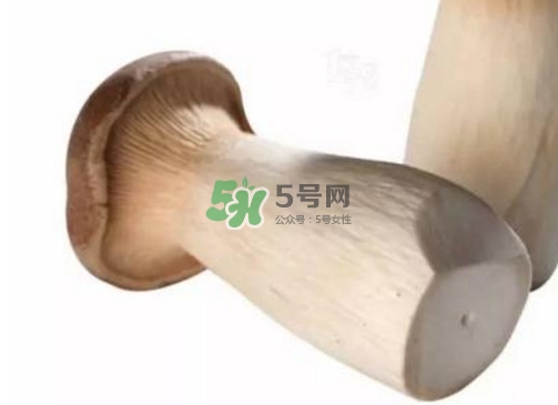 杏鮑菇有苦味還能吃嗎？杏鮑菇有酒味是壞了嗎
