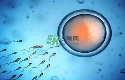 精子在女性體內(nèi)可以存活多久？男性的精子會(huì)枯竭嗎？