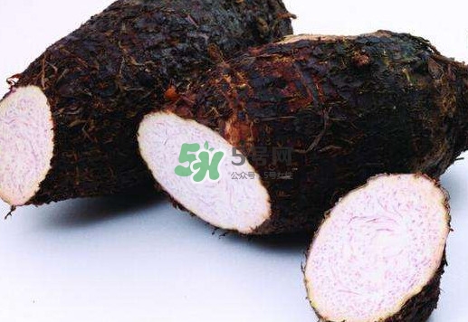 é¦™èŠ‹æ˜¯ç™¼(fÄ)ç‰©å—Žï¼Ÿé¦™èŠ‹æ€Žä¹ˆåƒ