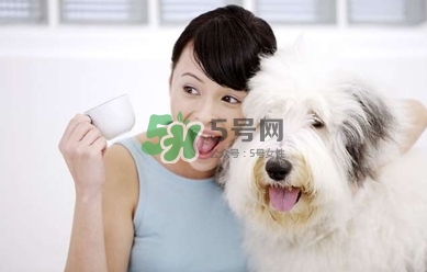 孕婦能養(yǎng)狗嗎？孕婦養(yǎng)狗注意事項(xiàng)