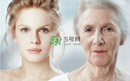 抗氧化是抗衰老嗎？抗氧化是不是就等于抗衰老？