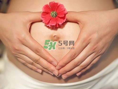 秋天孕婦可以吃絲瓜嗎？秋天孕婦吃絲瓜好嗎？