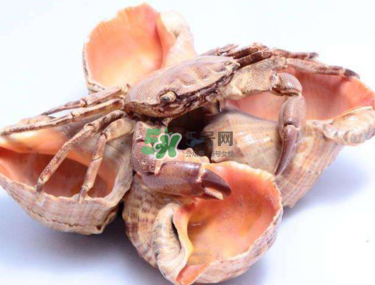 螃蟹殼里的東西是什么？螃蟹殼里什么不能吃？