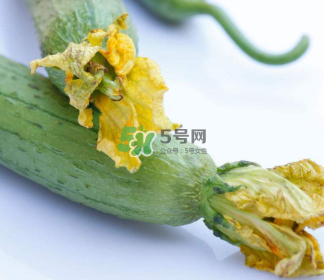 秋天絲瓜有毒嗎？秋天絲瓜能吃嗎？