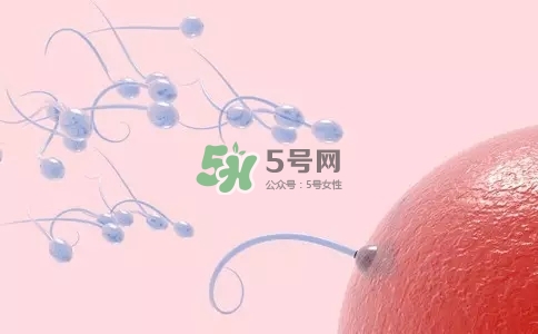 精子在女性體內(nèi)可以存活多久？男性的精子會(huì)枯竭嗎？