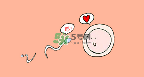 精子在女性體內(nèi)可以存活多久？男性的精子會(huì)枯竭嗎？