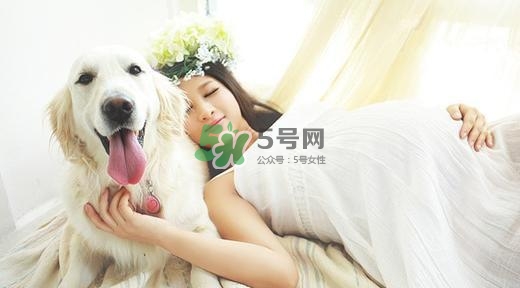 孕婦不能養(yǎng)寵物嗎？為什么孕婦不能養(yǎng)寵物？