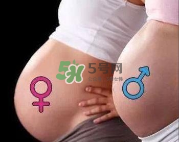 為什么孕婦的肚子有尖有圓？孕婦肚子尖圓對(duì)照?qǐng)D