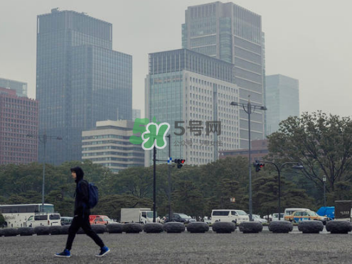 citera是什么牌子？citera是什么檔次？