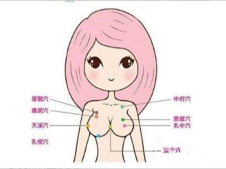 怎樣減脂不瘦胸 美胸九個動作五方法